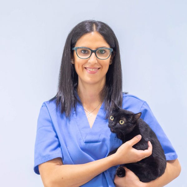 Marta ATV amb gat a Marcel Gustà Clínica Veterinària de La Garriga