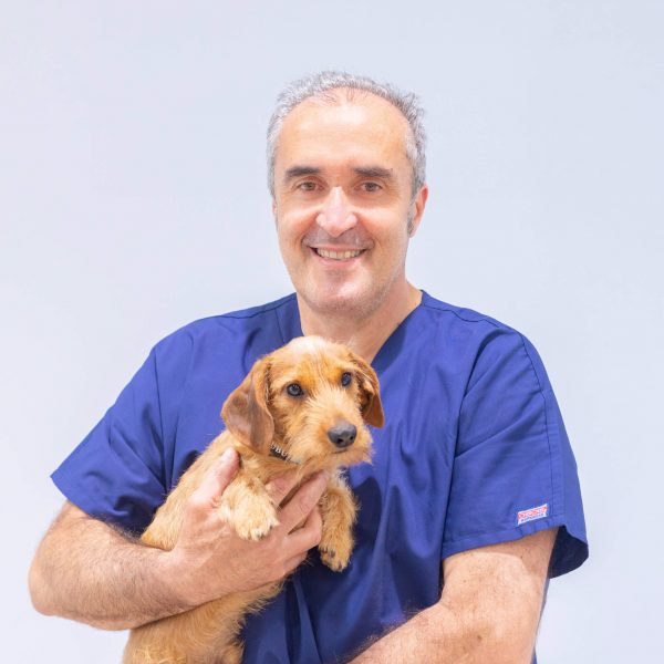 Marcel veterinari amb gos de Marcel Gustà Clínica Veterinària de La Garriga