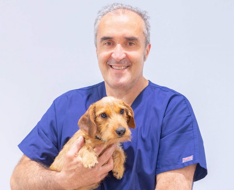 Marcel veterinari amb gos de Marcel Gustà Clínica Veterinària de La Garriga