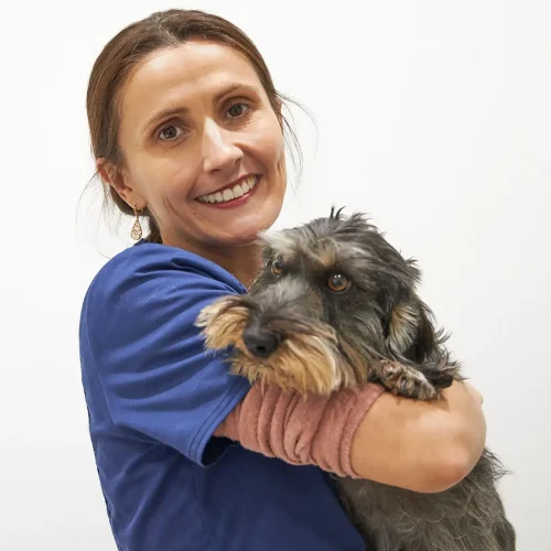 cvmarcelgusta-maria-marti